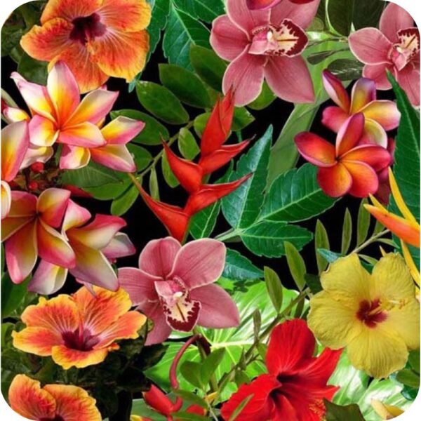 Mandala Blumen 9 Wassertransferdruck Folie